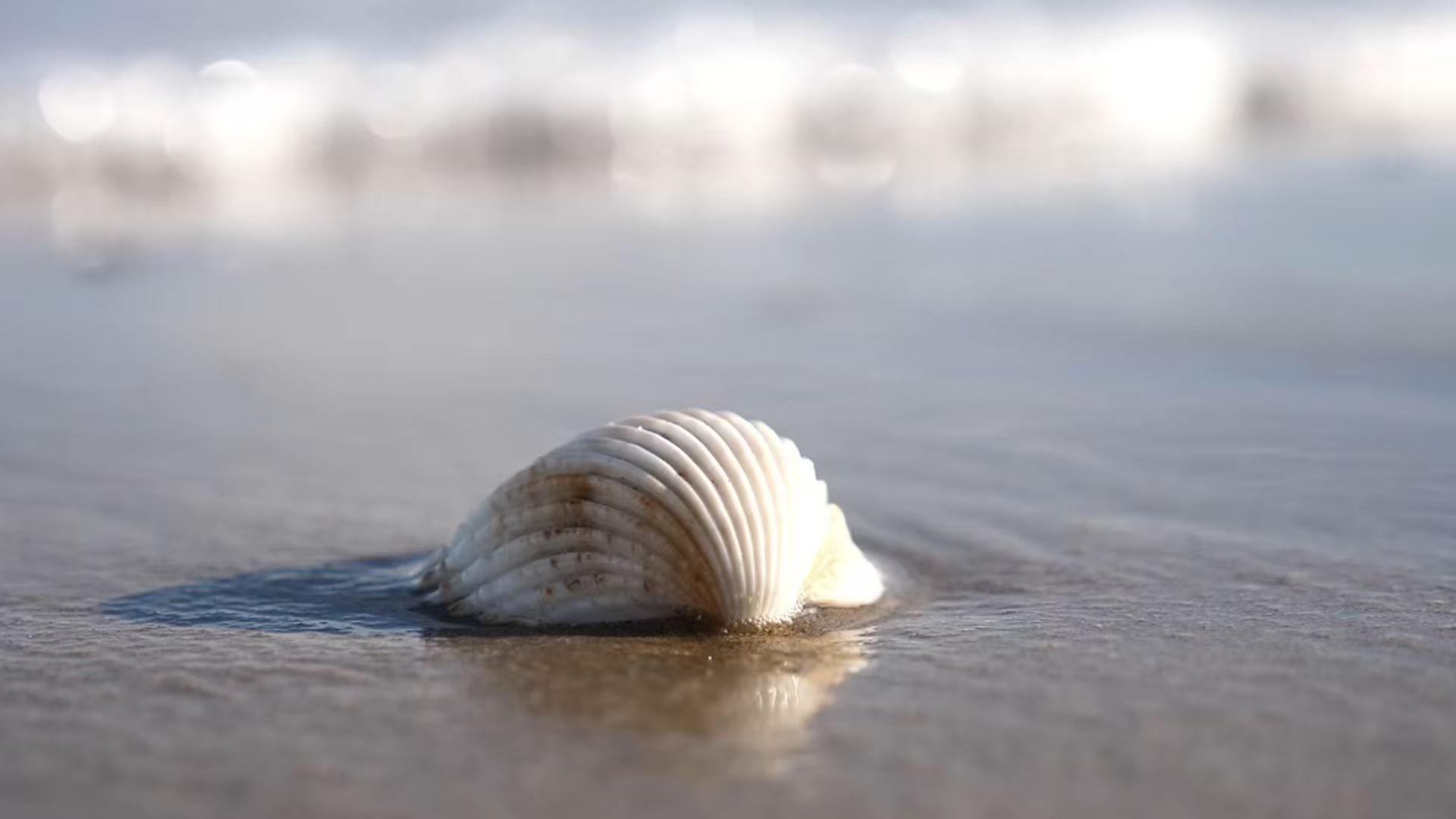 锐志机械|为工业而生的环保解决方案